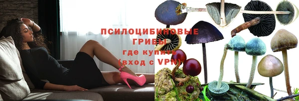 ГАЛЛЮЦИНОГЕННЫЕ ГРИБЫ Магадан