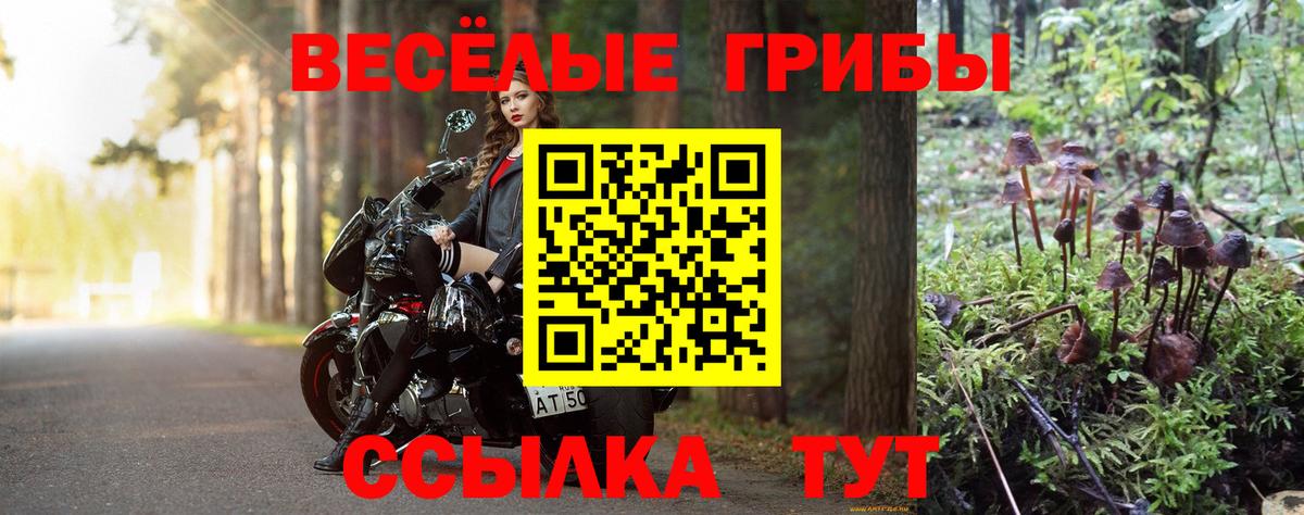 Осинники  Псилоцибиновые грибы мицелий  цены   Вход с VPN 