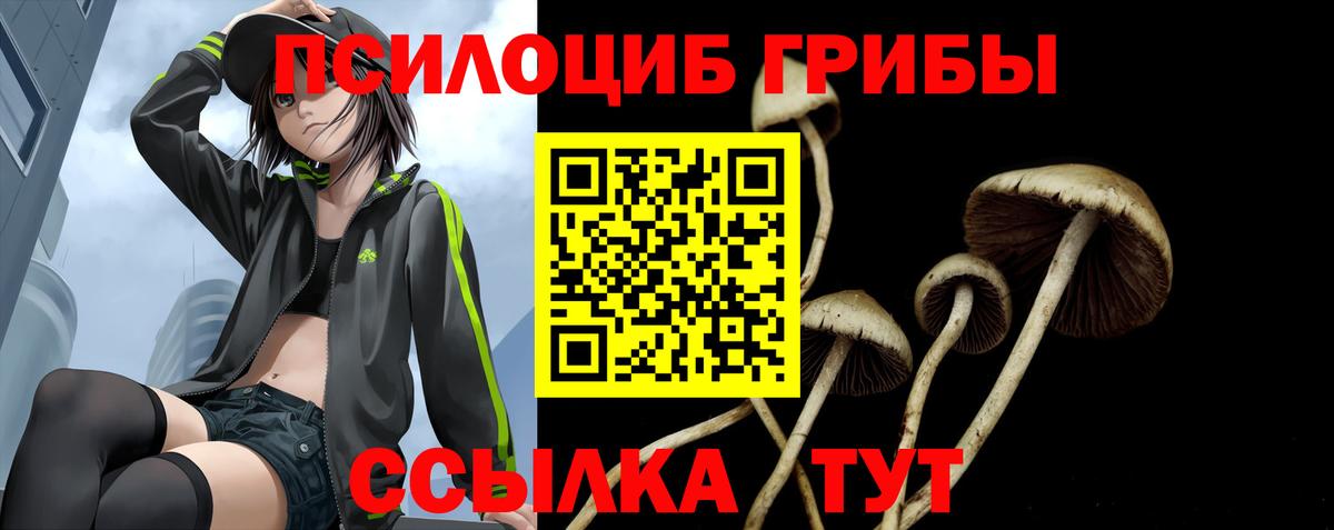 Галлюциногенные грибы Psilocybe  Галлюциногенные грибы Magic Shrooms  Вход с VPN  дарнет шоп  Осинники 