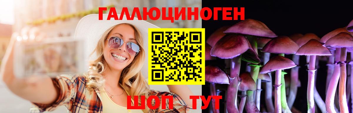 Псилоцибиновые грибы Cubensis Осинники