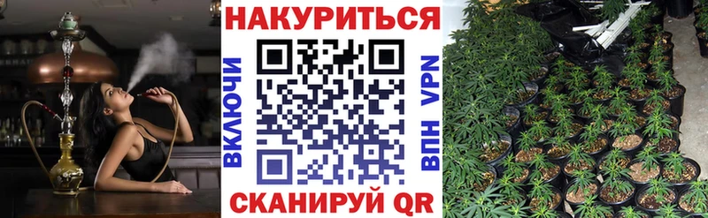 где купить наркотик  Осинники  МЕГА ONION  Конопля тримм 
